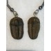 Naušnice z trilobita